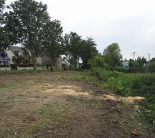 Fin de la coupe des Epicéas (43 en moins)