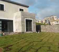 Pose du gazon par nos soins :)