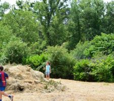 Nettoyage du terrain