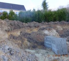 Pendant ce temps la terre tombe encore et encore...