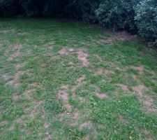 Jardin plein de trous