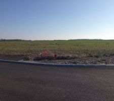 Voila donc c'est notre terrain d'une surface de 589 m2