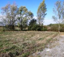 Le terrain et sa verdure avoisinante