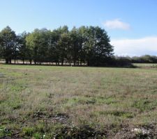 Terrain et voisinage