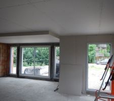 Le salon et son plafond