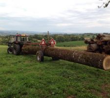 Bois couper pour la future volige