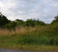 Devant terrain avant