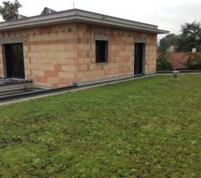 Toiture v&eacute;g&eacute;talis&eacute;e