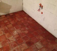 Les carreaux de terre cuite au sous-sol imbibés d'eau