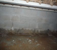 Nous sommes en plein mois de juillet, l'humidité est bien présente dans le vide-sanitaire...