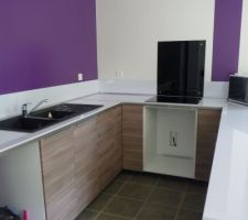 Reste le lave vaisselle et le four en électroménager