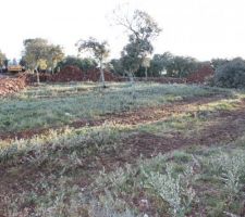 Terrain en cours de viabilisation