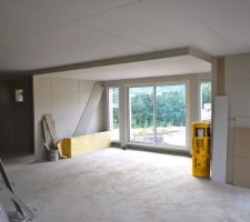 Vue sur le salon, son caisson de plafond et son mur de séparation de l'entrée