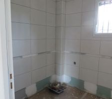 Mûrs SDB avec emplacement du listel
