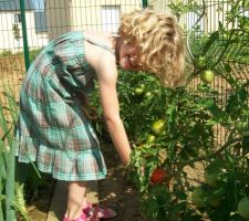 La petite fille a trouvé la première tomate rouge !