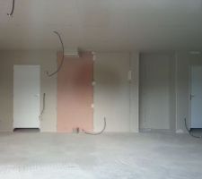 Pièce de vie