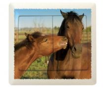 Interrupteur cheval pour la chambre de Cassandre