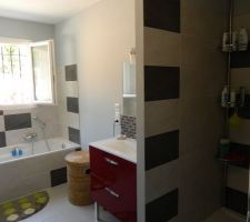 Salle de bains et douche