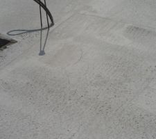 Petites fissures dues à la prise rapide du béton par temps chaud.