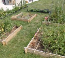 On a plein de tomates cerises !!