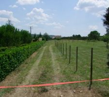 Chemin d'accès avec le terrain au bout