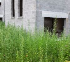 Maison à l'abandon...