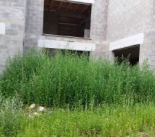 Maison à l'abandon...