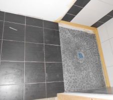Salle d'eau RDC