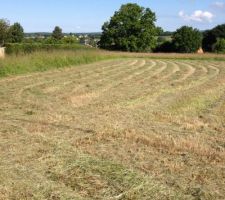 Preparation avant le debut.....