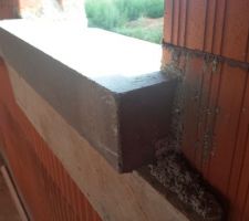 Appui de fen&ecirc;tre du cellier (H90xL60), appui de 70cm