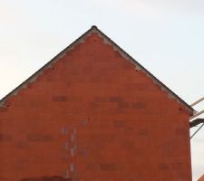 Les goutti&egrave;res du mauvais c&ocirc;t&eacute; et pas de souche pour le conduit de fum&eacute;e ...