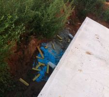 Dans le batiment ils doivent pas connaitre les poubelles