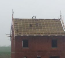 A l'arrière de la maison