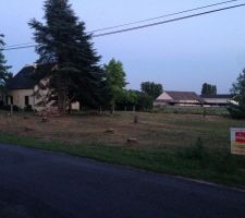 Voila il n'y a plus d'arbres &agrave; abattre.