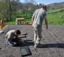 Plantation de 2000 micro mottes de sedums en 3h sur 100m2 de toiture.