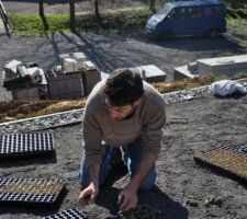 Plantation de 2000 micro mottes de sedums en 3h sur 100m2 de toiture.