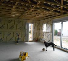 La membrane au mur est finie d'être fixée.
Et yuuki s'acclimate déjà dans la maison