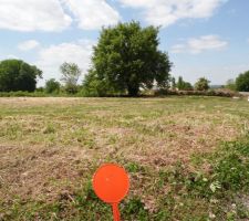 Le terrain se situe &agrave; c&ocirc;t&eacute; de ce magnifique ch&ecirc;ne