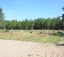 Voila notre terrain tout nu avec la belle foret en face (vu de la chambre d'ami),(le c&egrave;dre est coup&eacute;):) et les chaises de l'implantation son bien la :), voila reste plus que les all&eacute;e et retour &agrave; la d&eacute;ch&eacute;terie