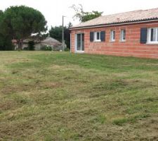 Première vraie tonte du jardin ça fait du bien !!