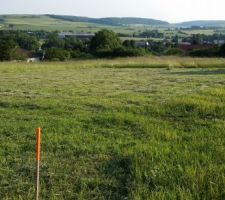 Terrain apr&egrave;s d&eacute;broussaillage.