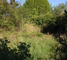 Terrain avant la construction