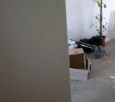 Pose de la futur cloison qui s&eacute;parera l'entr&eacute;e du salon - vue des escaliers