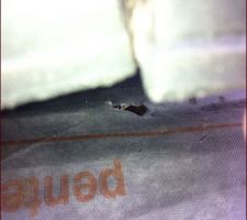 J' ai prévenu le patron que je monterai voir sur le toit
2 eme fois que j' écris au patron pour le même trou.
Réponse travaux effectué
2 eme mensonge