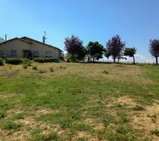 Pr&eacute;paration du terrain