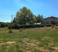 Pr&eacute;paration du terrain