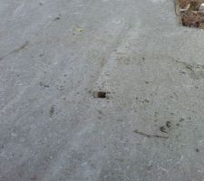 J'avais planté des piquets bois tous les 1.5m environ pour le repère du coulage de la dalle.
les piquets étaient 1cm plus haut que le niveau de la dalle et peints fluo pour qu'on les voient et qu'on évite de les écraser lors du coulage.
le soir même (pas plus tard...c'était déjà limite pour les taper...en fait, il faut le faire dès qu'on peut marcher sur la dalle ), je les ai enfoncé au marteau (pas trop la peine d'esperer les tirer, alors, on enfonce).
le lendemain, on rebouche les trous