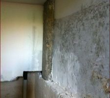 Traces de moisissures &agrave; cause d'une mauvaise ventilation du sous-sol et de l'humidit&eacute; accumul&eacute;e par les murs qui s'imbibent facilement d'eau !
