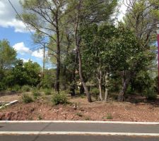 Voici la photo du terrain