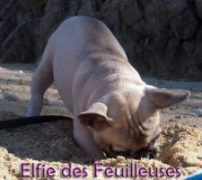 Terrassier pas cher !